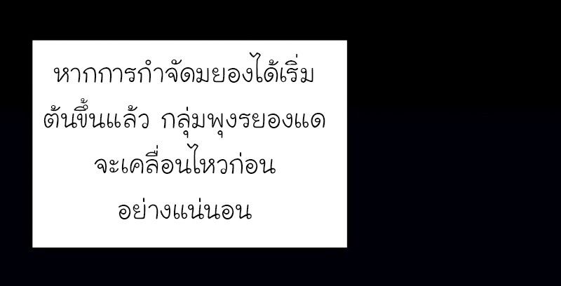I Reincarnated As the Crazed Heir ตอนที่ 44 91
