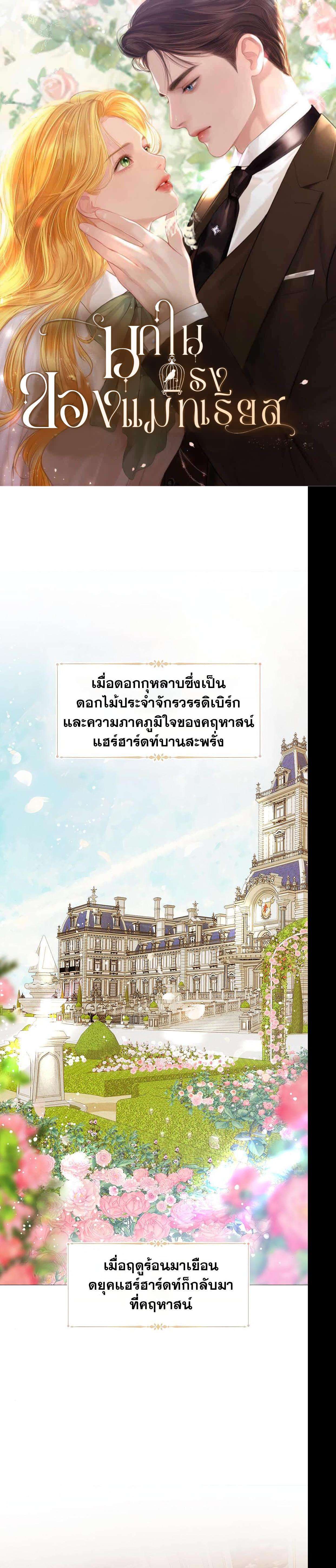 Cry, Even Better If You Beg ตอนที่ 11 1