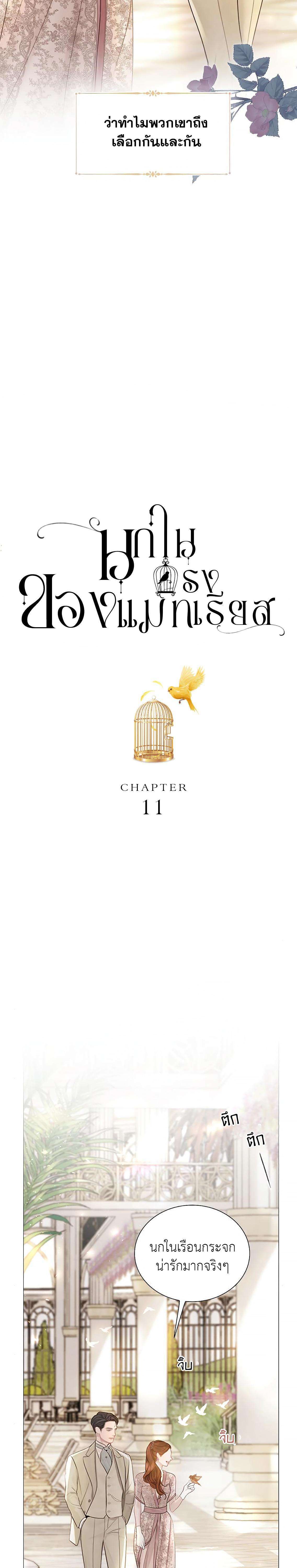 Cry, Even Better If You Beg ตอนที่ 11 17